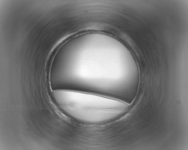 X0000082930779200702011045