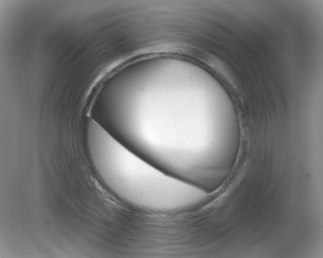 X0000082930781200702011045