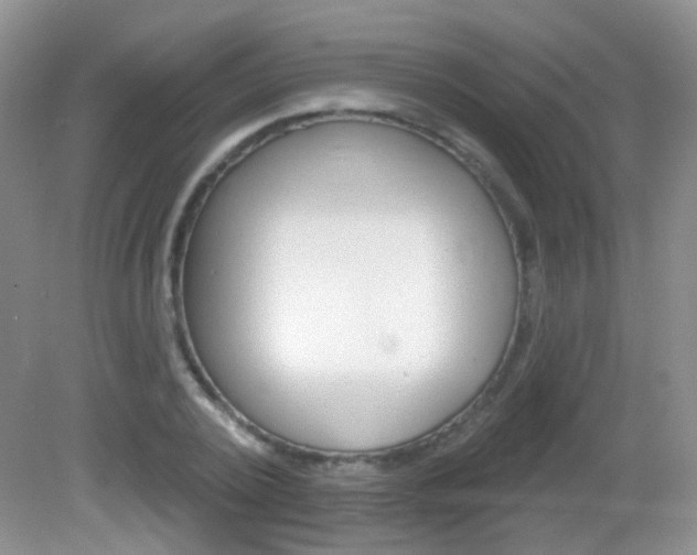 X0000082930784200702011045