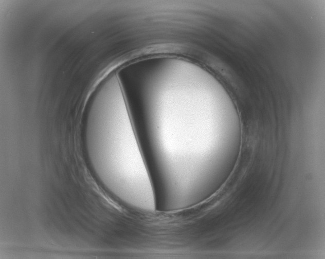 X0000082930786200702011045