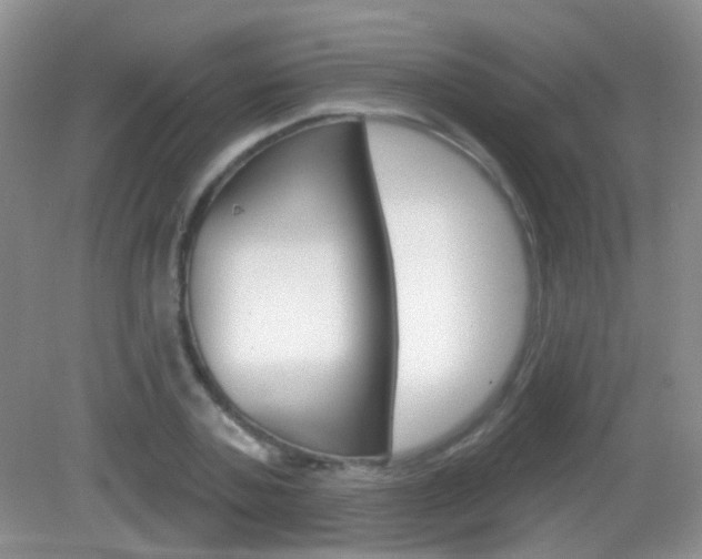 X0000082930787200702011045