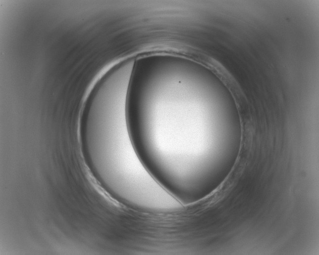 X0000082930788200702011045