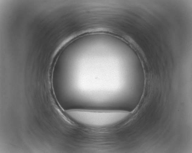 X0000082930789200702011045