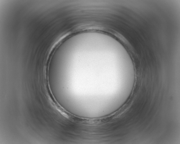 X0000082930790200702011045