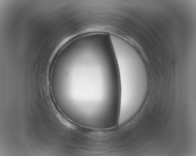 X0000082930792200702011045