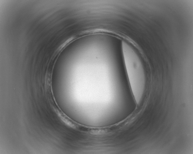 X0000082930793200702011045