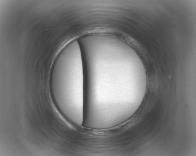X0000082930794200702011045