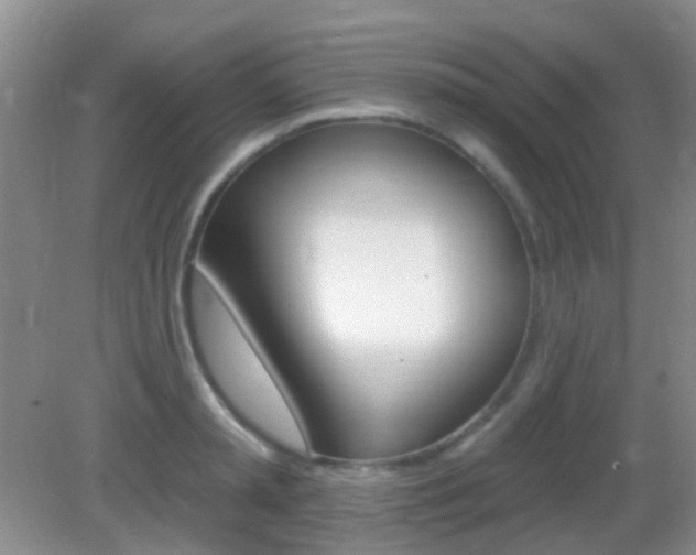 X0000082930797200702011045