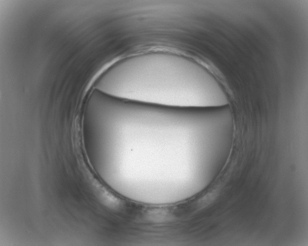 X0000082930798200702011045