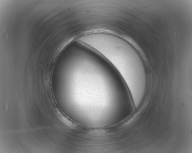 X0000082930801200702011045