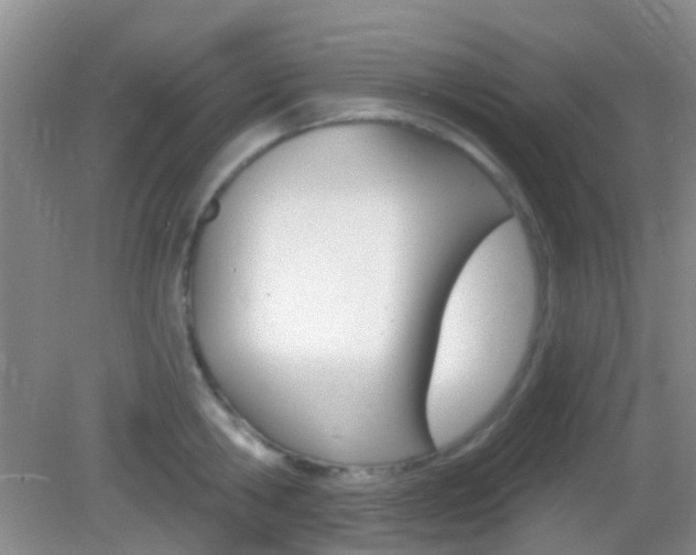 X0000082930806200702011044