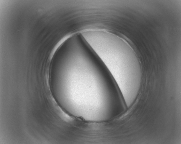 X0000082930812200702011044
