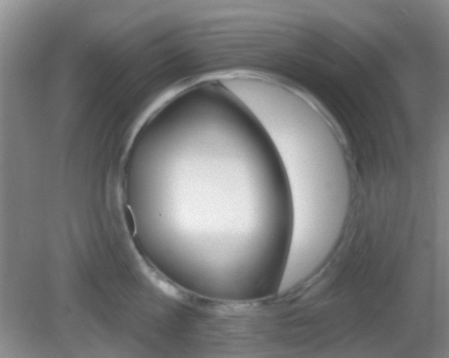 X0000082930813200702011044