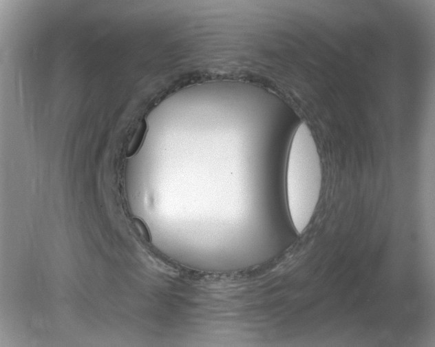 X0000082930817200702011043