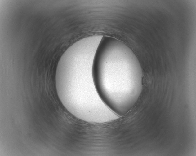 X0000082930818200702011044