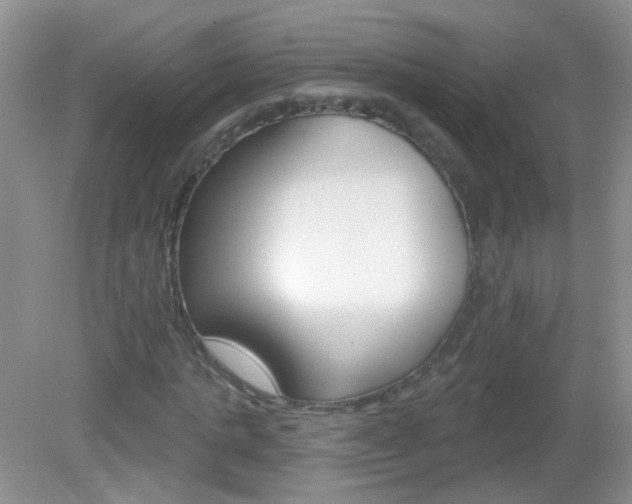 X0000082930821200702011044