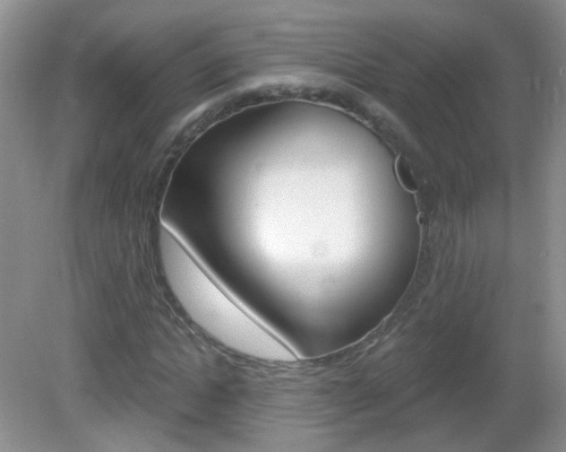 X0000082930822200702011044