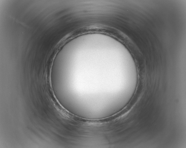 X0000082930825200702011044