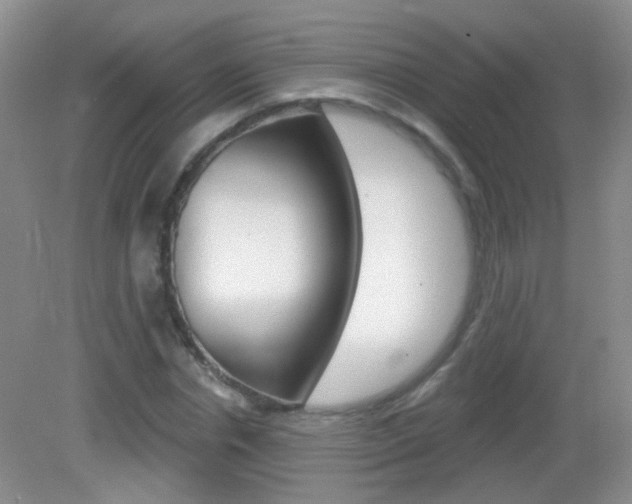 X0000082930826200702011044
