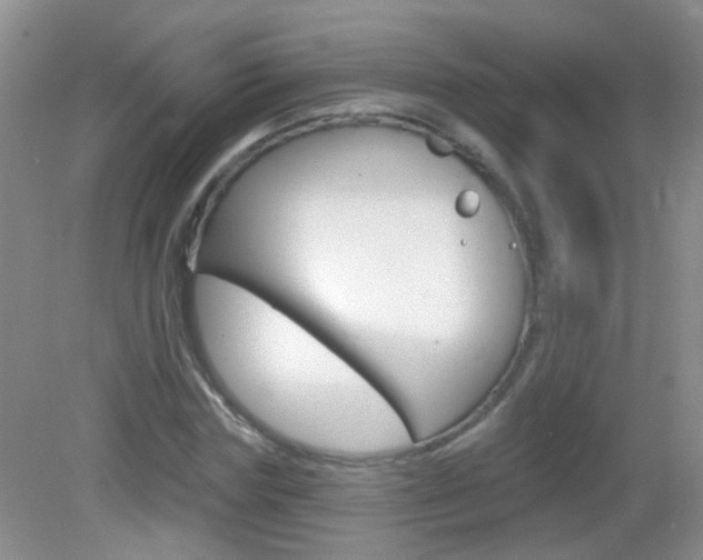 X0000082930827200702011044