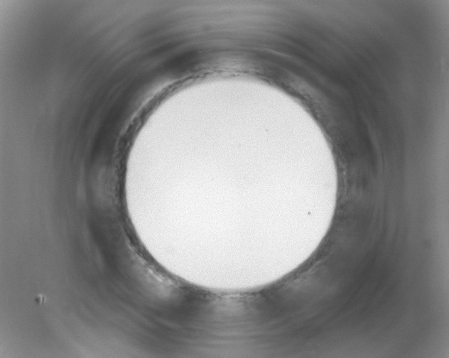 X0000082930828200702011044