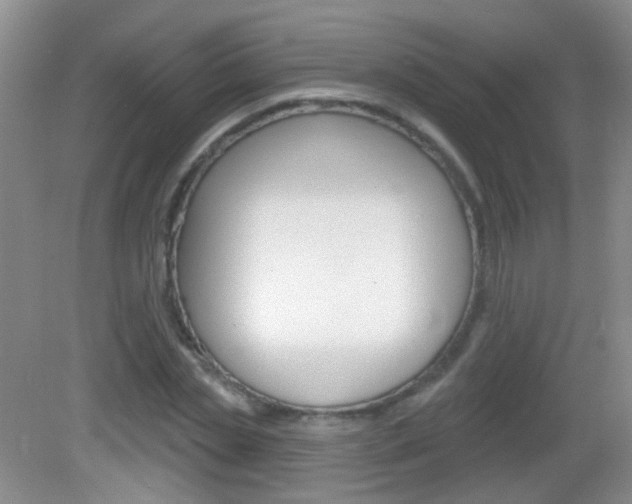 X0000082930829200702011044