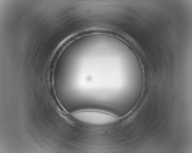X0000082930830200702011044