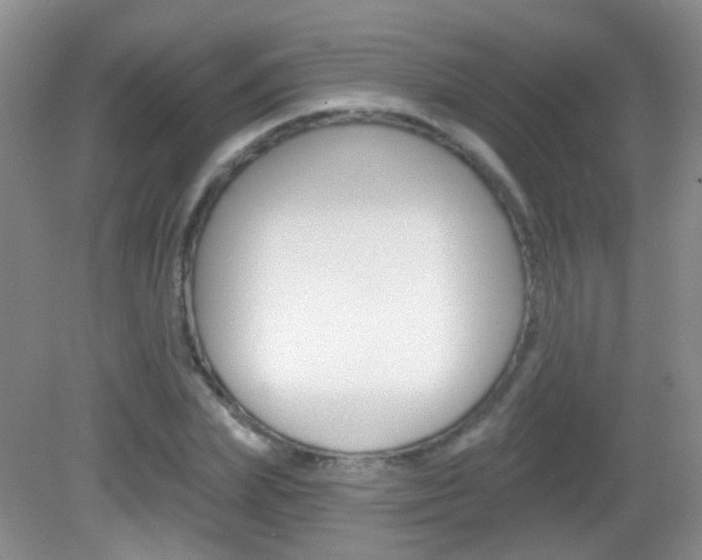 X0000082930831200702011044