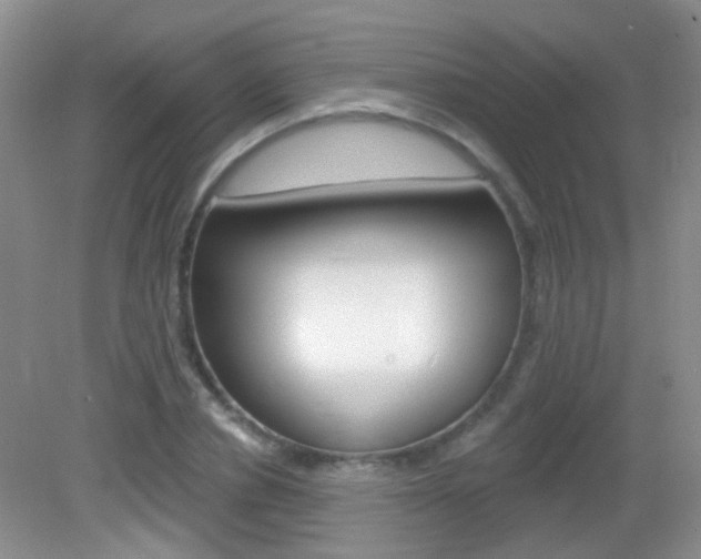 X0000082930834200702011044