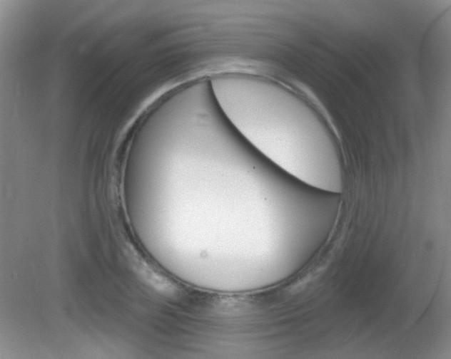 X0000082930835200702011044