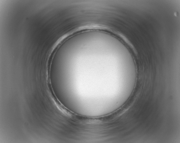 X0000082930837200702011044