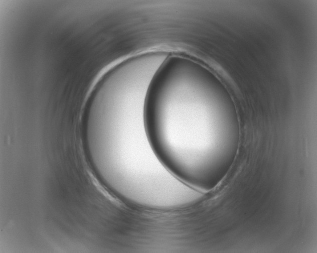 X0000082930838200702011044