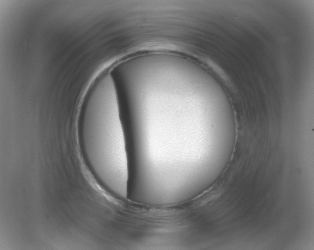 X0000082930840200702011044
