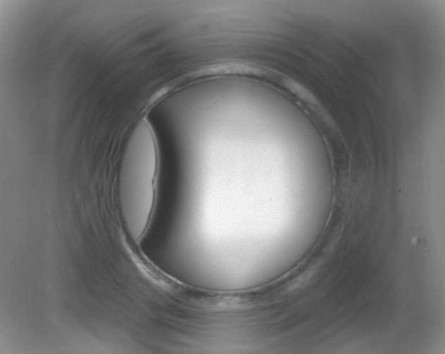 X0000082930841200702011044