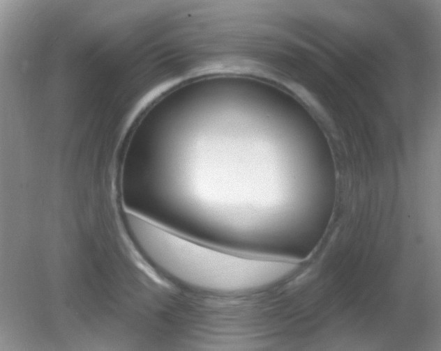 X0000082930846200702011044