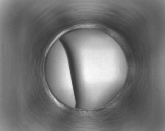 X0000082930852200702011044