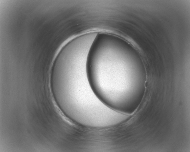 X0000082930854200702011044