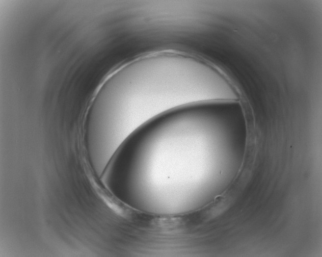 X0000082930858200702011044