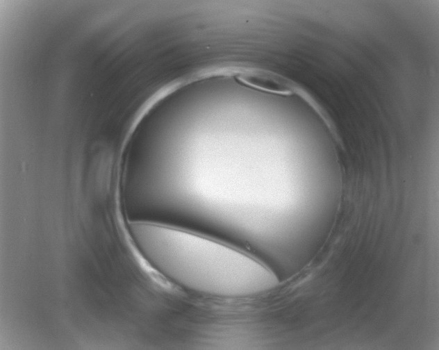 X0000082930861200702011044