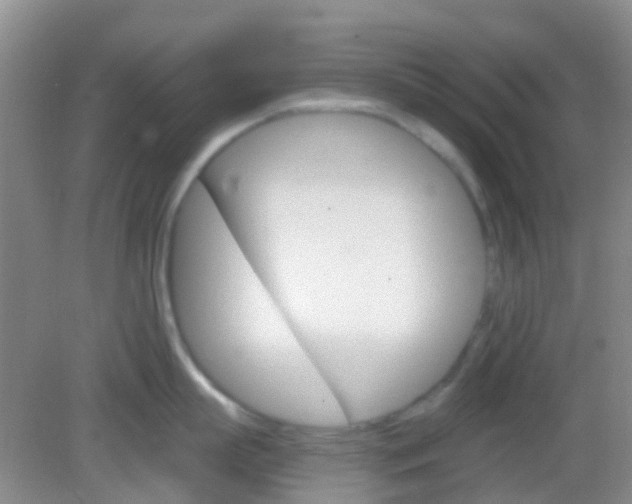 X0000082930863200702011044
