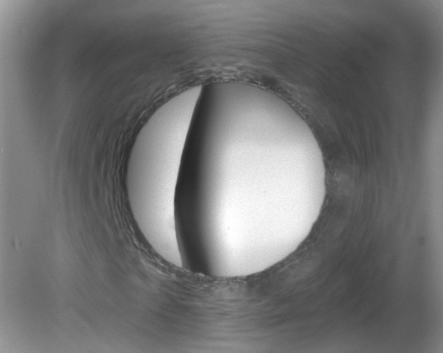 X0000082930865200702011043