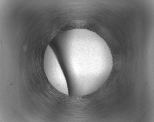 X0000082930866200702011043