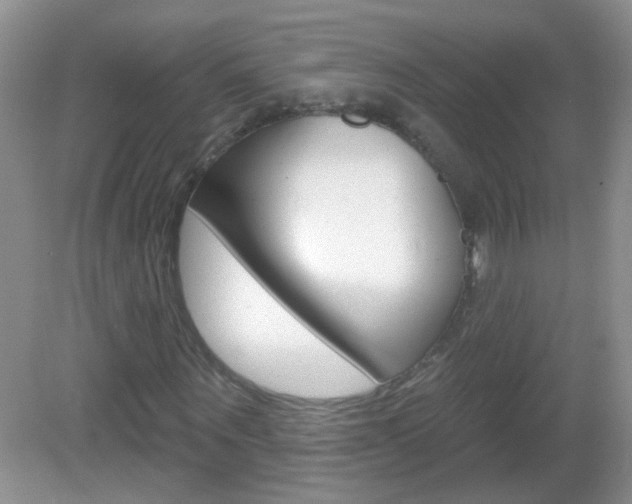 X0000082930867200702011043