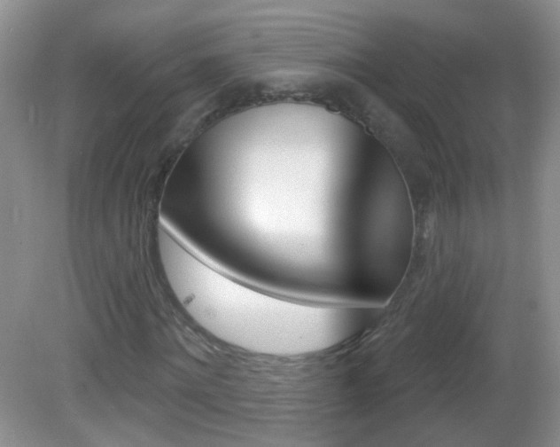 X0000082930868200702011043