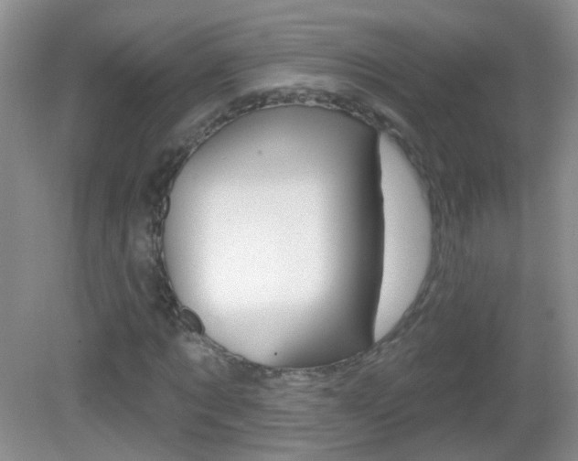 X0000082930869200702011043