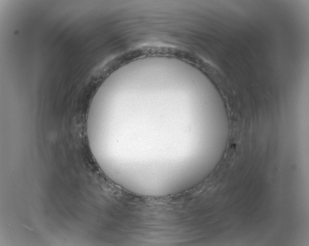 X0000082930870200702011043