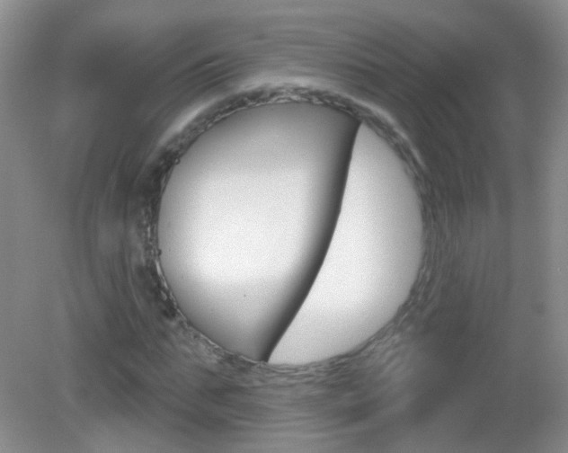 X0000082930871200702011043