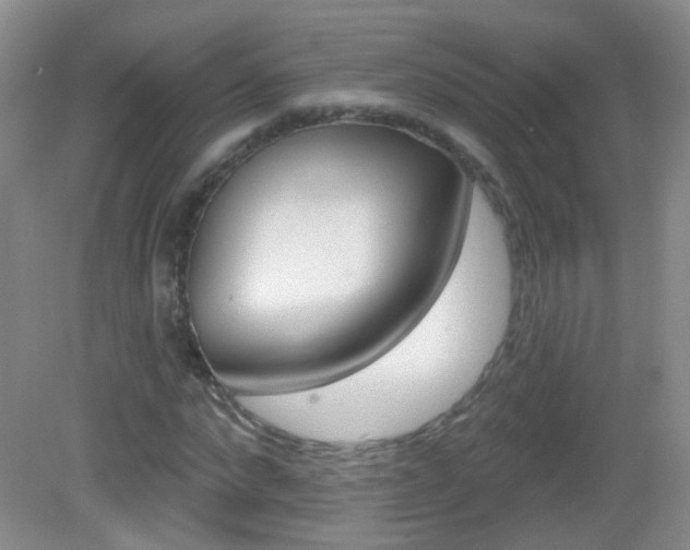 X0000082930872200702011043