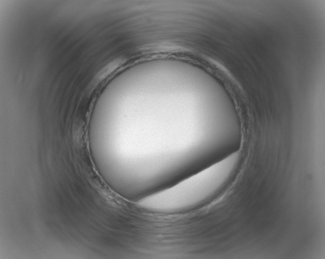 X0000082930873200702011043