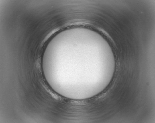 X0000082930874200702011043